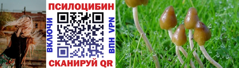 Псилоцибиновые грибы мицелий  Озёрск 